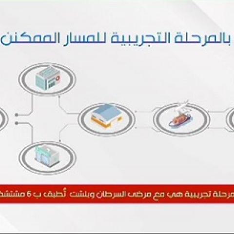 Report on the Automated Mechanism to be Followed by the MoPH for Pharmaceutical Tracking