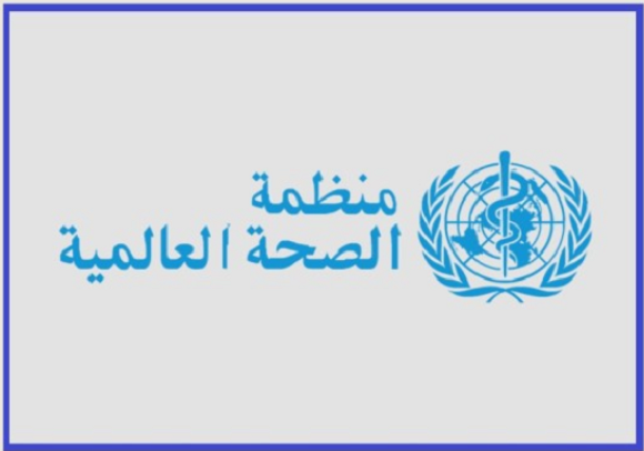 WHO Regional Consultation Meeting on the Development of Vitamin D Guidelines in the Middle East