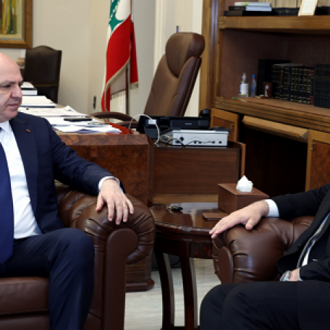 President Aoun Was Briefed by Minister Nassereddine on the Results of the Mental Health Summit in Qatar