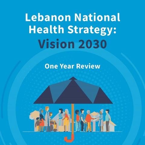One Year Review for Lebanon National Health Strategy:Vision 2030 