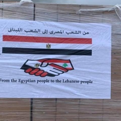 Abiad To Receive a Donation of Cholera Vaccines and Medicines from Egypt