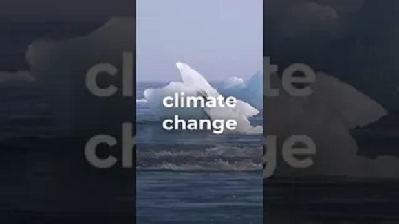 ما هو تأثير تغير المناخ على الانظمة الصحية؟