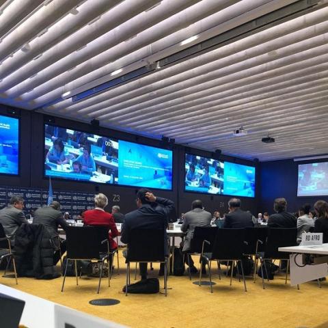 Abiad Calls at the WHO Meeting on Gaza for an Immediate Ceasefire