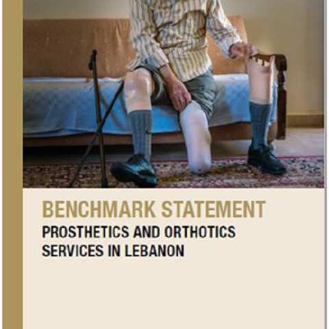 Benchmark Statement Prosthetics and Orthotics Services in Lebanon