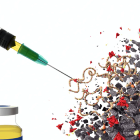 The Vaccine Executive Committee: COVID-19 Vaccine Registration Now Open to Children 5 through 11 Years Old