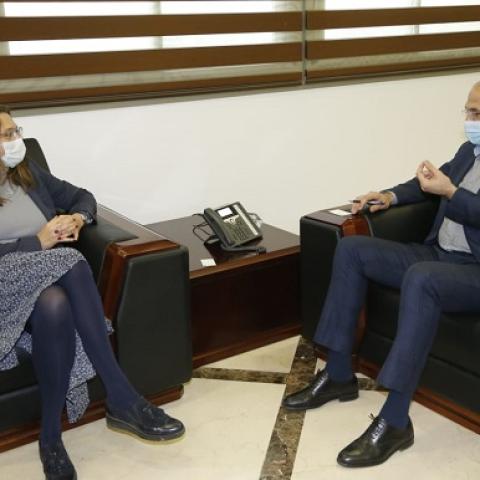 الوزير حسن عرض وسفيرة الدانمارك مجالات التعاون الصحية 