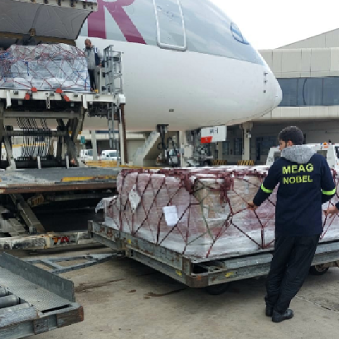 Medicines and Medical Supplies were Donated by the Council of Arab Ministers for Health