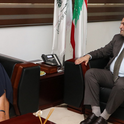 ناصر الدين عرض وسفيرة سويسرا تفعيل التعاون في المشاريع الصحية 