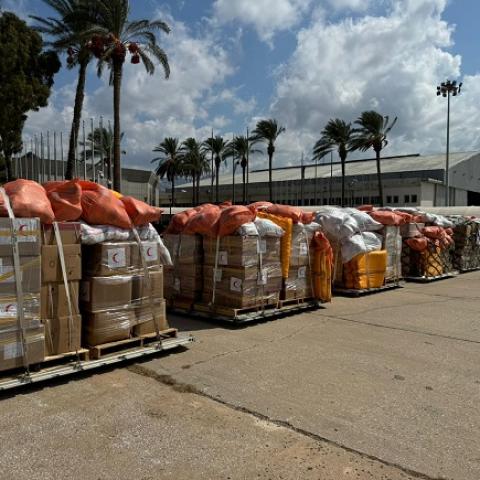 The Ministry of Health Receives a Shipment of Iraqi Aid