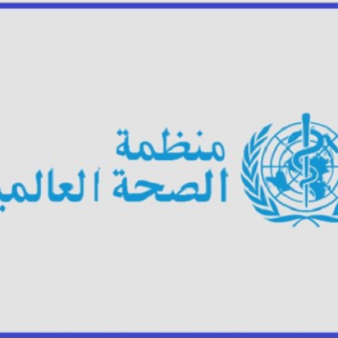 WHO Regional Consultation Meeting on the Development of Vitamin D Guidelines in the Middle East