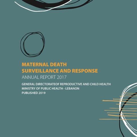 Maternal Death Surveillance and Response-Annual Report 2017
