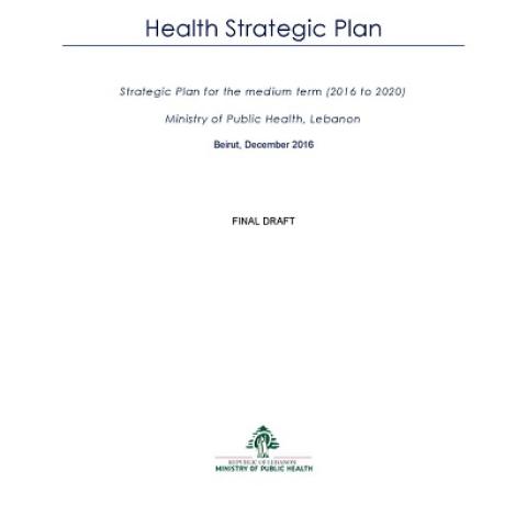 الخطة الاستراتيجية للمدة المتوسطة (2016 إلى 2020)